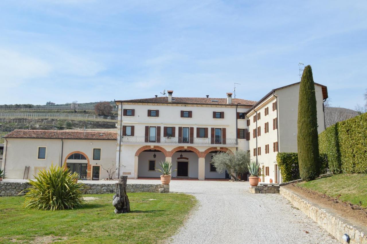Verdeolivo 1876 - Apartments & Pool Mezzane di Sotto Exteriér fotografie