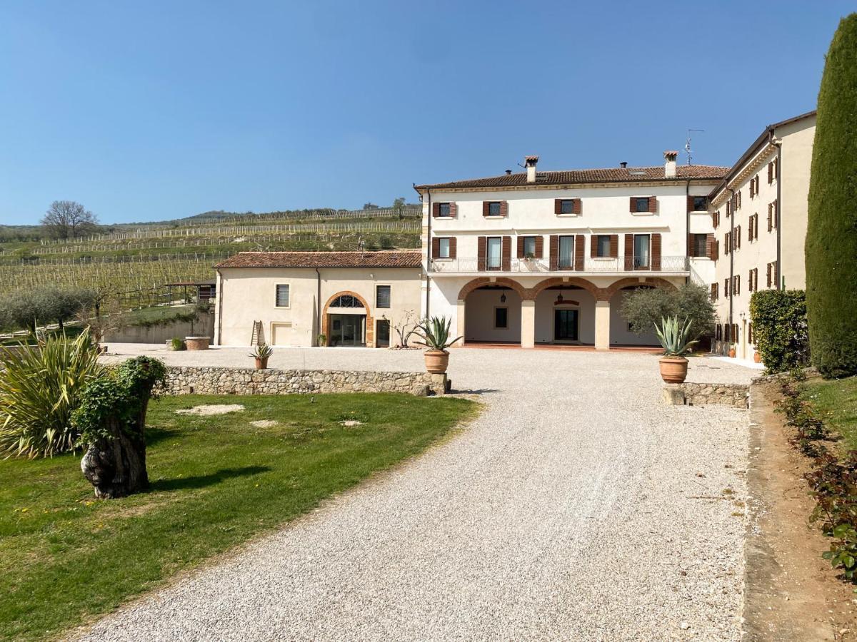 Verdeolivo 1876 - Apartments & Pool Mezzane di Sotto Exteriér fotografie