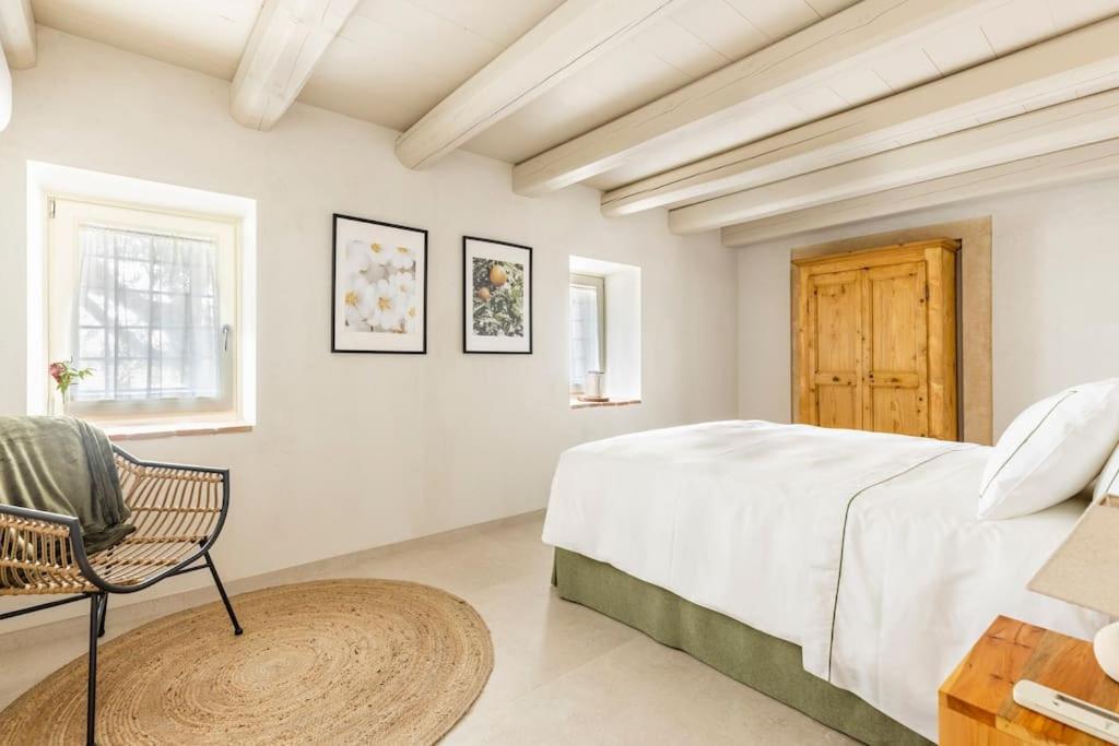 Verdeolivo 1876 - Apartments & Pool Mezzane di Sotto Exteriér fotografie